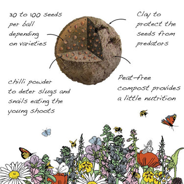 Seedball Wildflower Grab Bags - Garden Meadow Mix