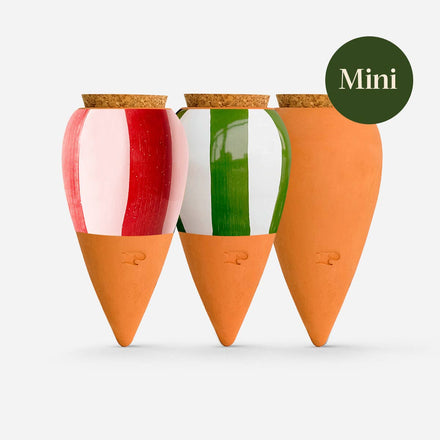 Three colorful mini carrot-shaped plant markers on a white background with a 'Mini' label.