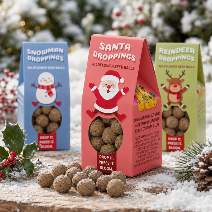 Santa Droppings Wildflower Seed Balls Stocking Christmas Kit
