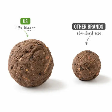 Two brown textured seed balls on a white background, one labeled 'US 1.7x bigger' and the other labeled 'OTHER BRANDS standard size', showing size comparison.