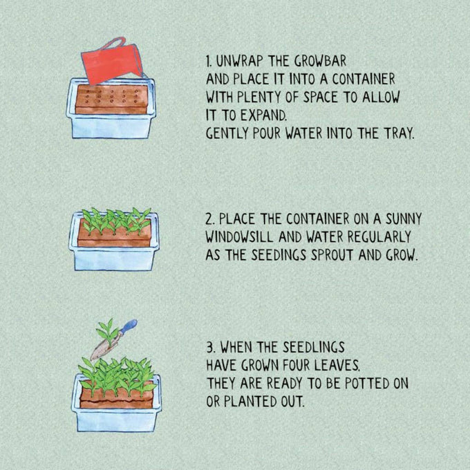 The Sunflower Growbar