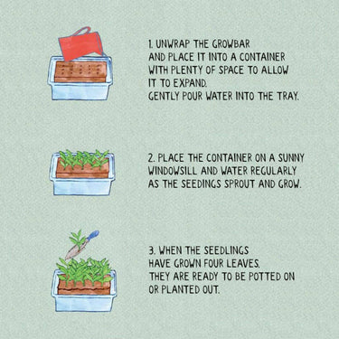 The Victorian Flowers Growbar