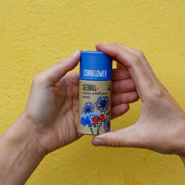 Wildflower Seedball Tube - Cornflower