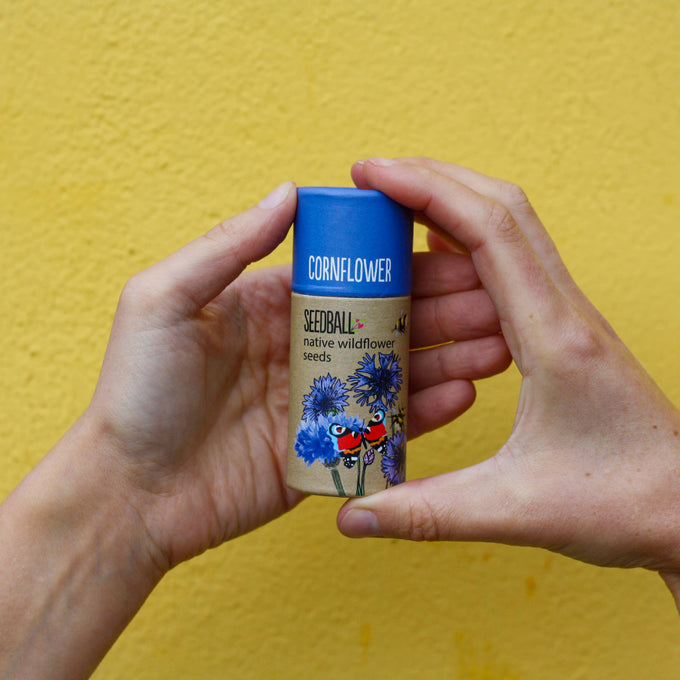 Wildflower Seedball Tube - Cornflower