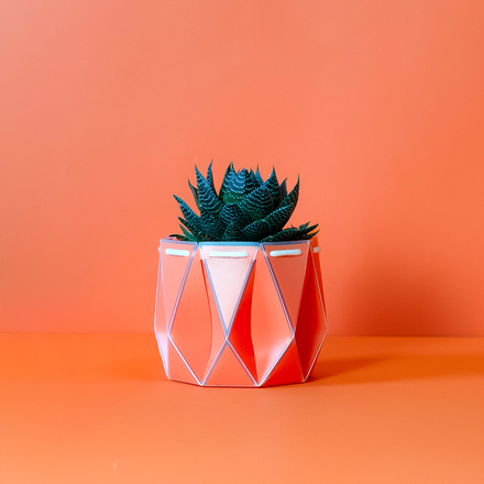 Self-Watering 15cm Coral POTR Pot