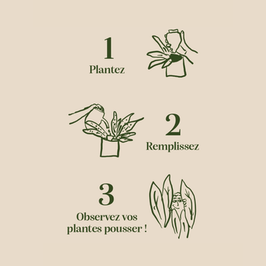 Olla Leopard Ceramic Plant Waterer