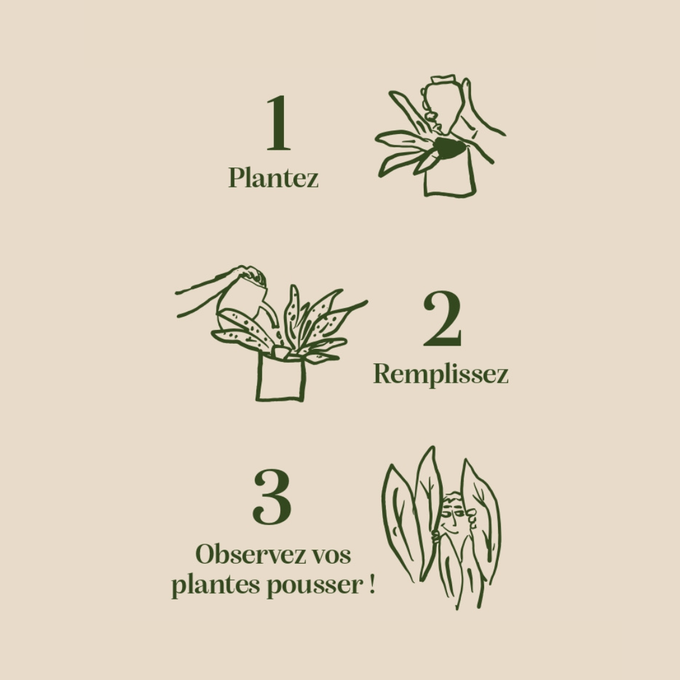 Olla Leopard Ceramic Plant Waterer