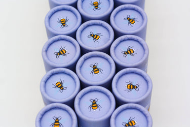 Wildflower Seedball Tube - Forget-Me-Not