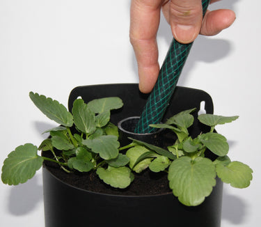 Flower Tower Wall Mounted Planter 3 Pack