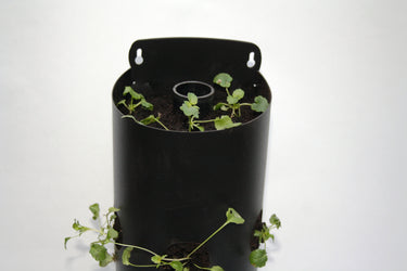 Flower Tower Wall Mounted Planter 3 Pack