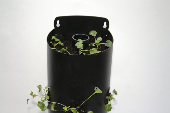 Flower Tower Wall Mounted Planter 3 Pack