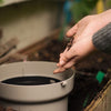 Plastia In-Ground Taupe Worm Farm with 250g Worms