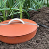 Plastia In-Ground Terracotta Worm Farm with Voucher for Worms