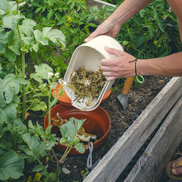 Plastia In-Ground Terracotta Worm Farm with 250g Worms
