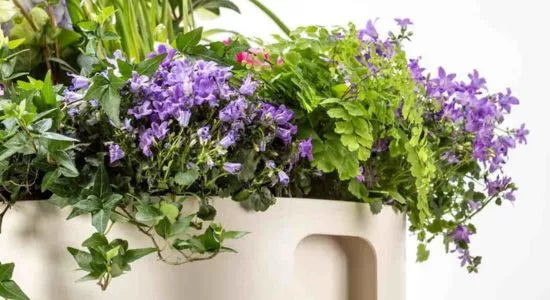 Garden Planters