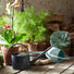 Burgon & Ball - 1.7 Litre Grey Watering Can by Sophie Conran