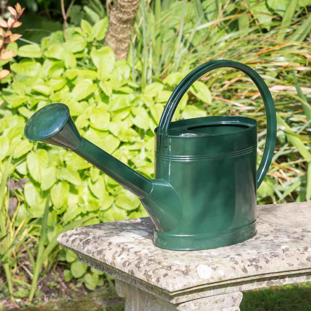 Burgon And Ball 5l Litre Watering Can Racing Green Evengreener