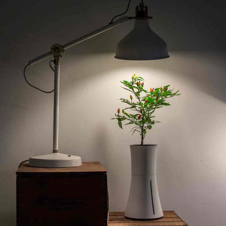 Botanium White Indoor Self-Watering Planter