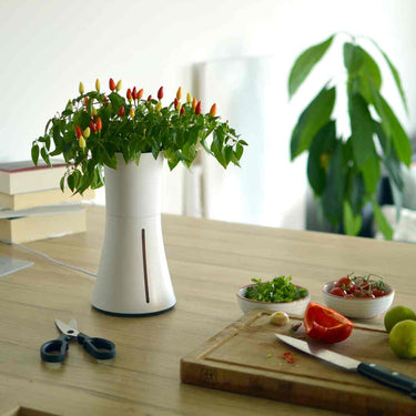 Botanium White Indoor Self-Watering Planter