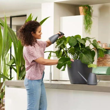 plant mister plastic Elho 0.7 Litre Anthracite Recycled Plastic Plant Mister