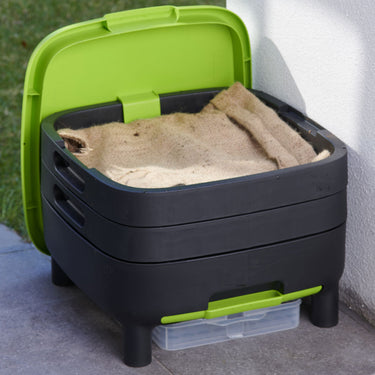 Maze Worm Farm in situ