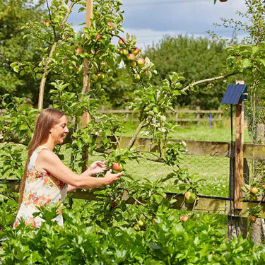 Garden Irrigatia System C24