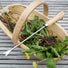 Burgon & Ball Medium Traditional Wooden Trug